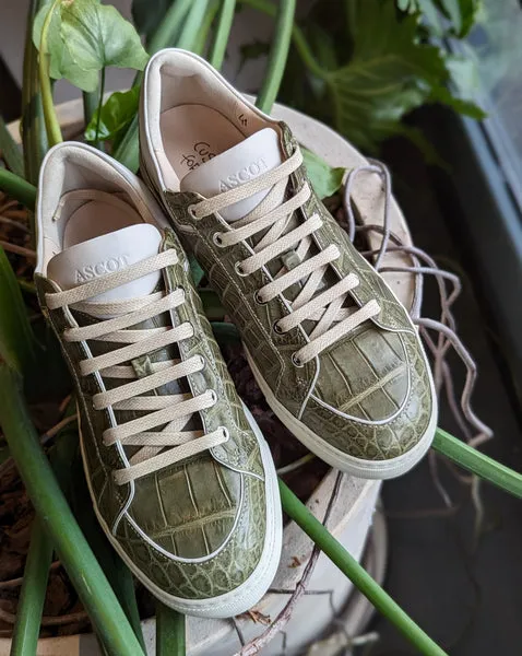 Ascot Sneakers - Olive Green Crocodile