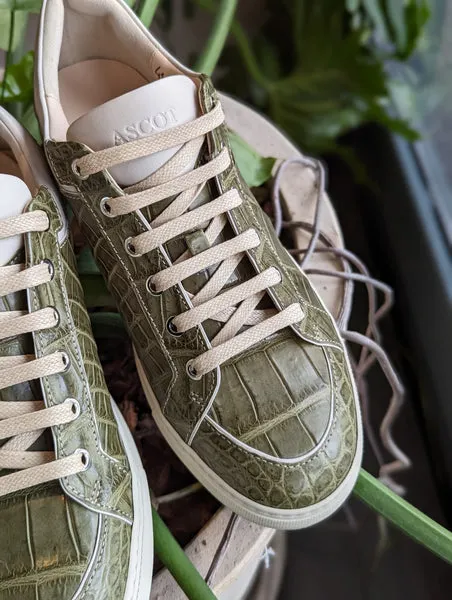 Ascot Sneakers - Olive Green Crocodile