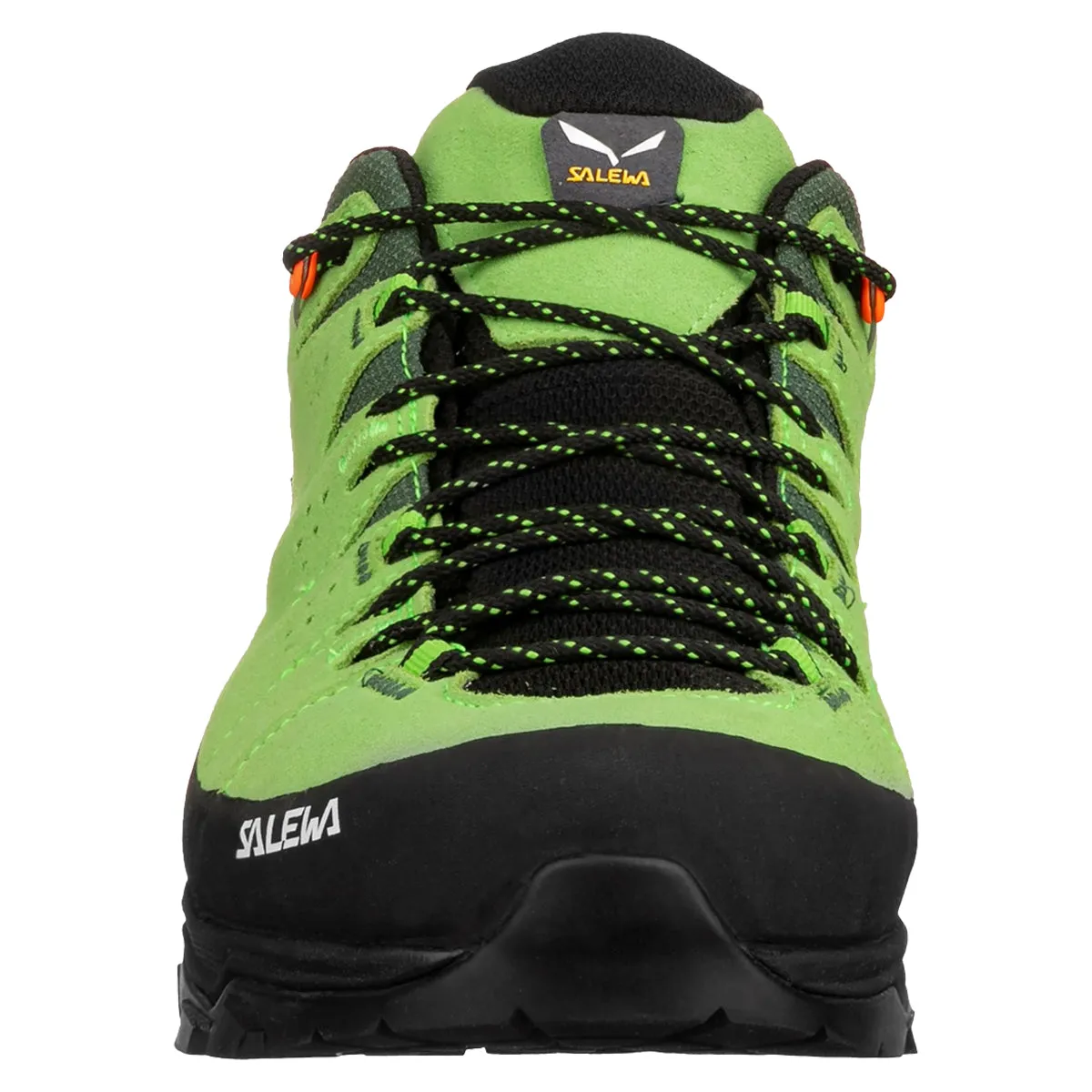 Salewa Alp Trainer 2 GTX