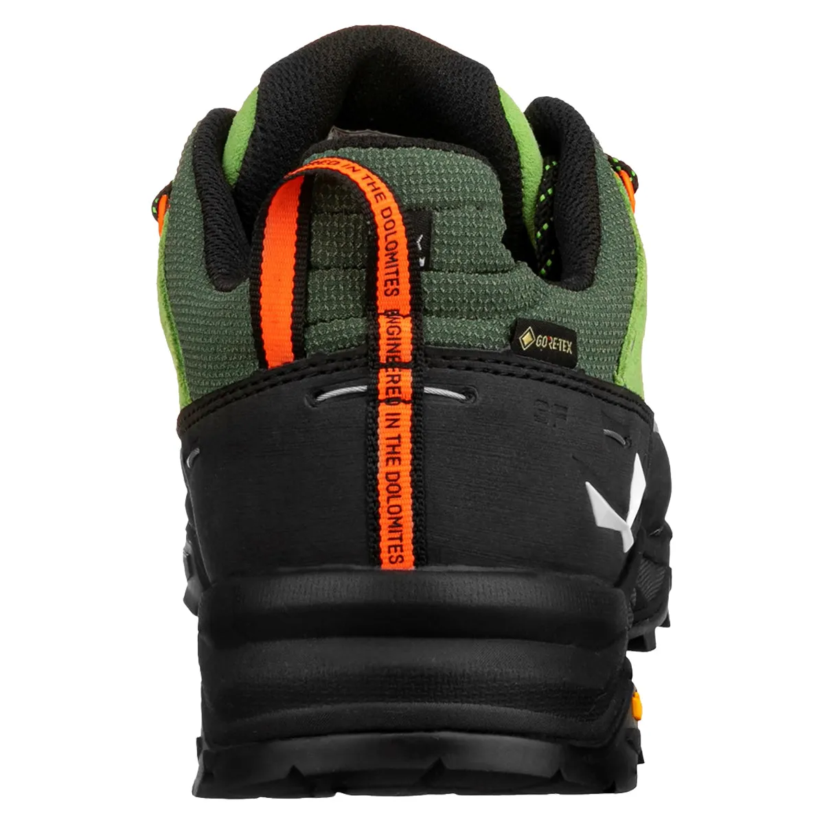 Salewa Alp Trainer 2 GTX