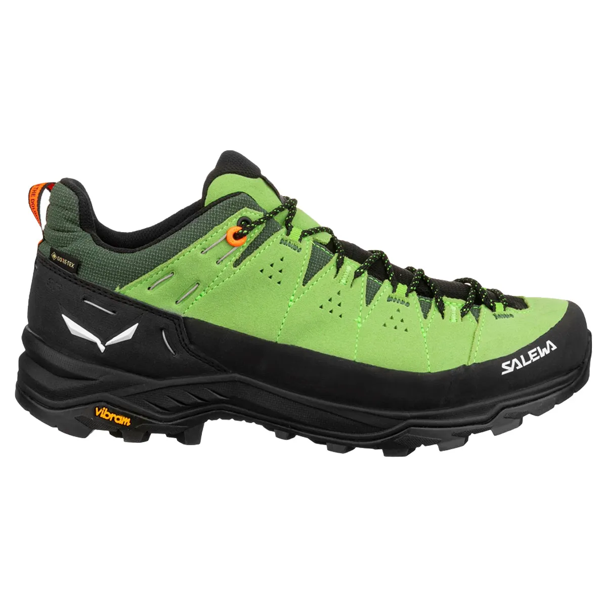 Salewa Alp Trainer 2 GTX