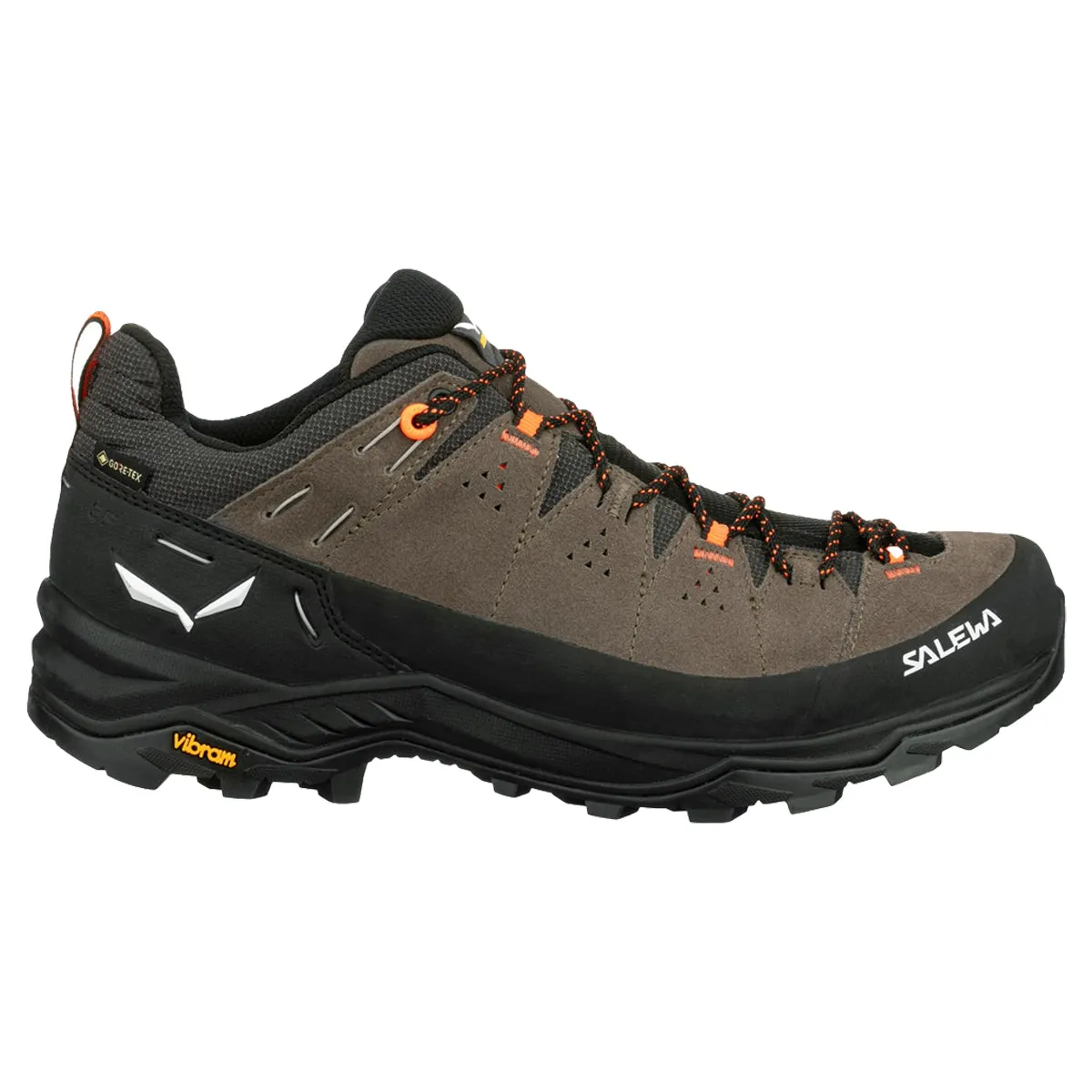 Salewa Alp Trainer 2 GTX