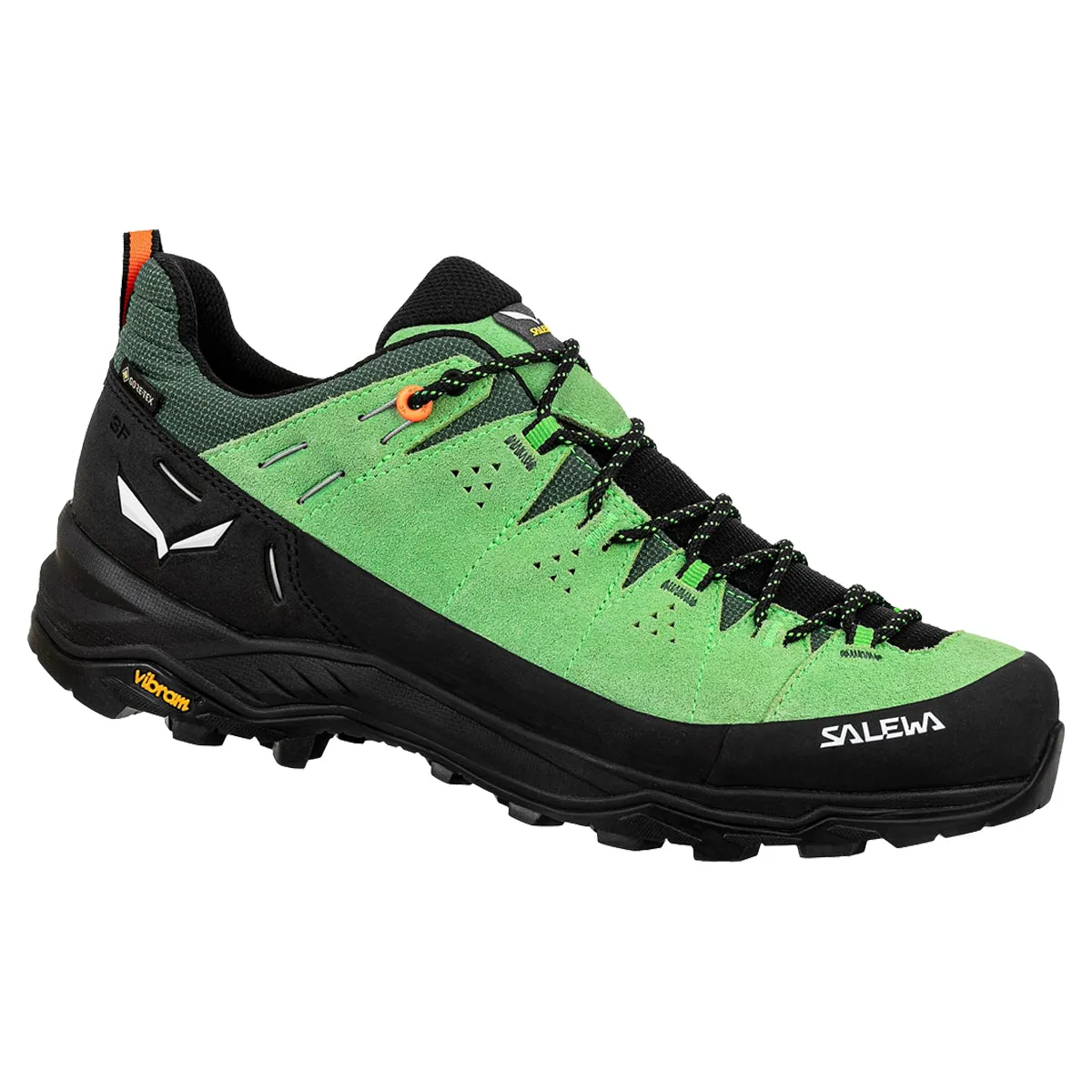 Salewa Alp Trainer 2 GTX