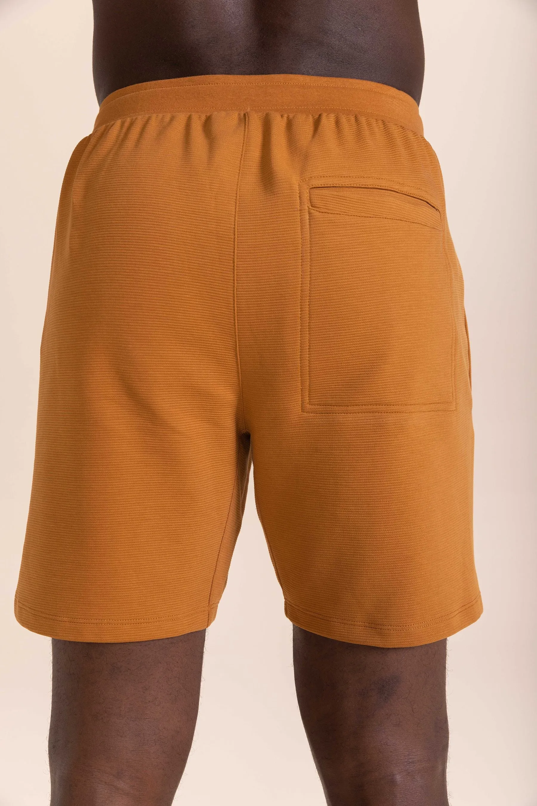 Sleek Men's Shorts